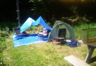 Environnement Pêche Nature