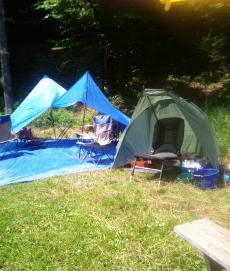 Environnement Pêche Nature