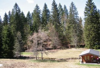 Appartement dans chalet – P513MON00