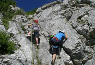 Lézard des bois – Accompagnateur en montagne, moniteur escalade / canyon