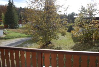 Appartement – chalet l’Igloo – P611GAME0