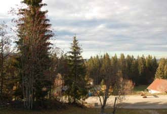 Appartement en Chalet – P412BARGI