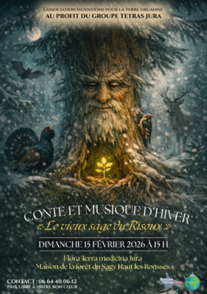 15-Conte et musique d&rsquo;hiver