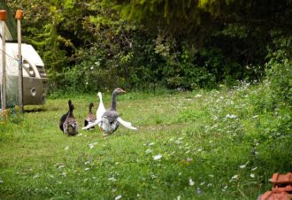 Aire de camping-car – Scierie des lacs