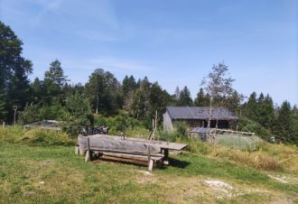 Les bois fous – Pierre Daniel