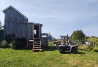 Les bois fous – Pierre Daniel