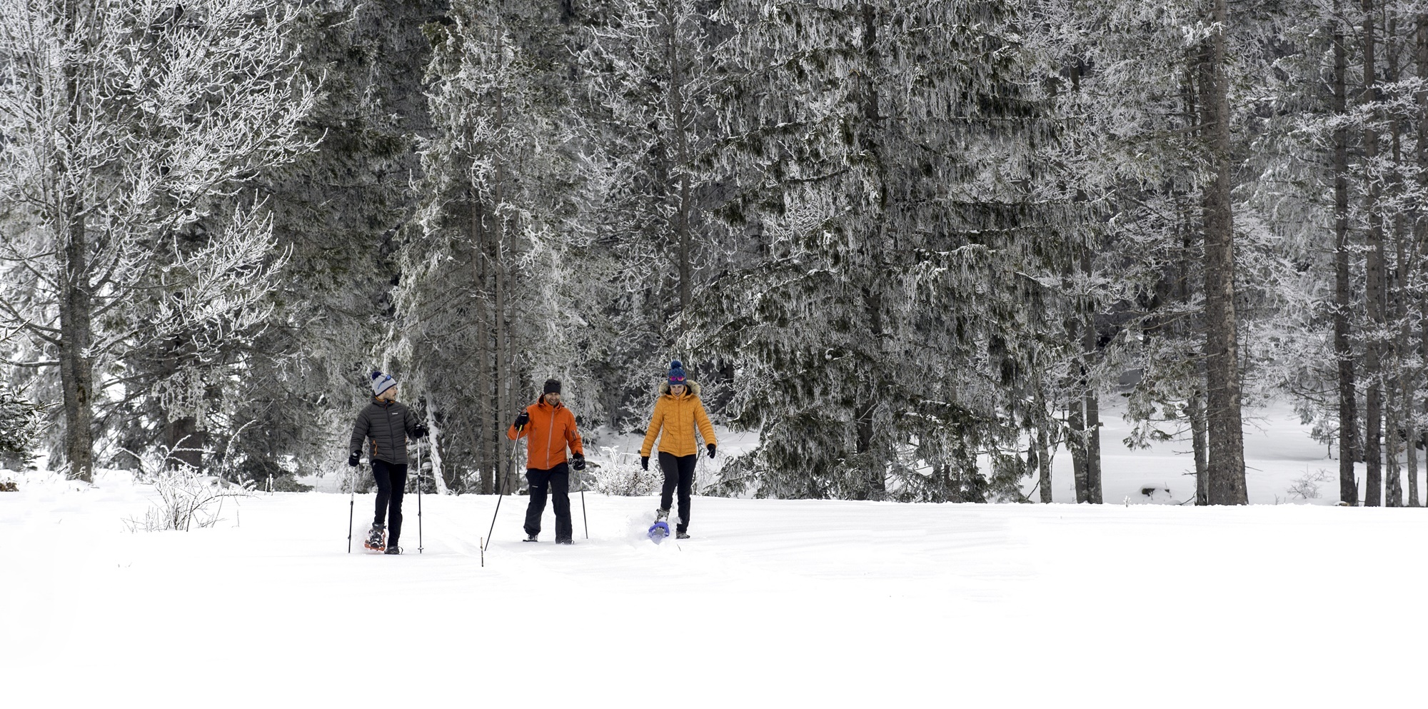 Le Chalet Blanc