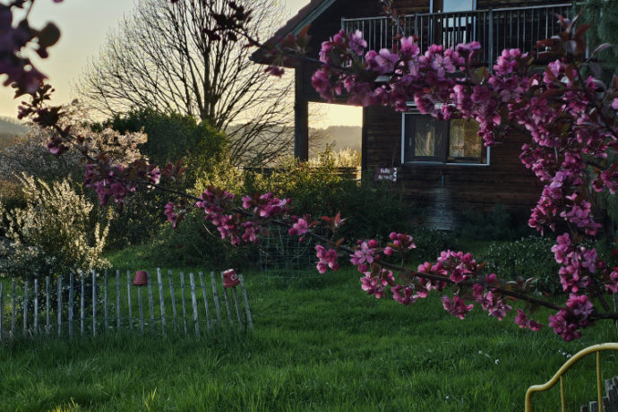 Espace devant gîte