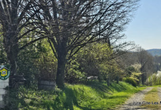 Les Maisons Fougère, bain de nature en Biodiversité