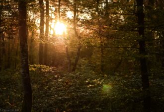 Circuit du Patrimoine – 75B