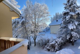 Les Campènes – Appartement en résidence – R413NEY00