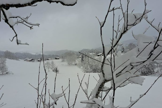 la combe de la Vie Neuve