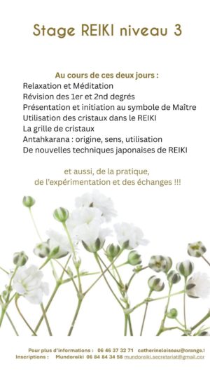 “ Lorsqu’un être humain médite, il transforme cette partie de l’humanité qu’il est lui-même, et l’’humanité devient meilleure grâce à lui ” – 2