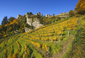 Vins et gastronomie dans le Jura