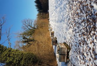 Les miels du Massif du Jura
