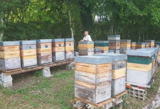 Les miels du Massif du Jura