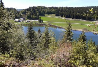 Appartement – Chalet les Épilobes – Gilbert GRENARD – 2 chambres