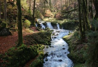 Au Cœur de Prémanon