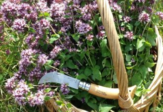 Distillerie La Belle Plante