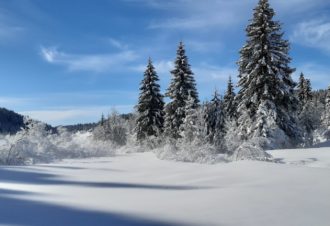 Appartement – Chalet les Épilobes – Gilbert GRENARD – 2 chambres