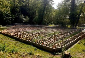 Les escargots du Moulin Burignat