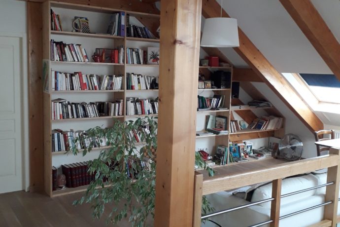 Espace detente, bibliotheque (2)