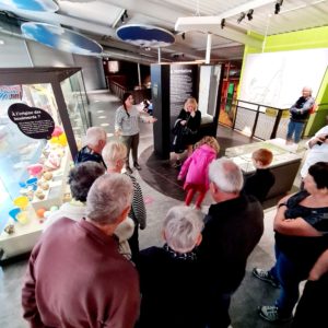 Visite-guidée au musée du jouet