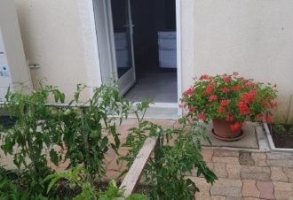 Studio – Le Myosotis