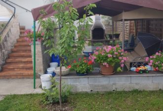 Studio – Le Myosotis