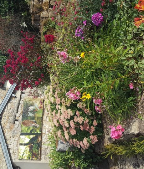 Exposition Photo Nature – parcours extérieur