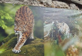 Exposition Photo Nature – parcours extérieur