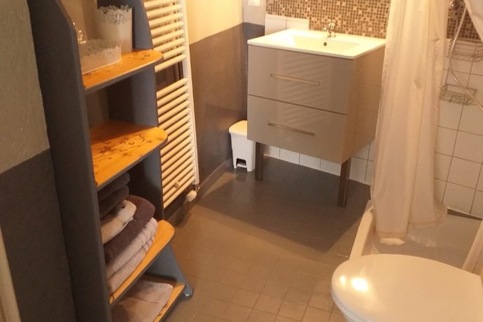 La salle d’eau et les toilettes .