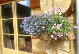 Les Humaneries – Appartement  « Le Lodge Deer » en chalet – B402FLO02