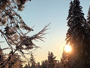 L’Etincelle du Manon – Chalet