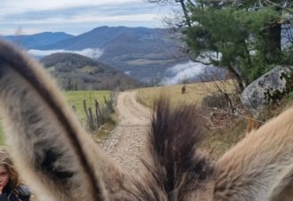 Le p&rsquo;tit coin de Ca&rsquo;Ré