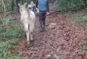 Le p&rsquo;tit coin de Ca&rsquo;Ré