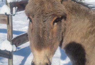 Le p&rsquo;tit coin de Ca&rsquo;Ré