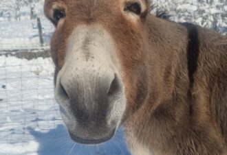 Le p&rsquo;tit coin de Ca&rsquo;Ré