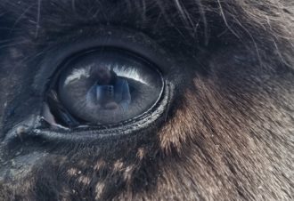 Le p&rsquo;tit coin de Ca&rsquo;Ré