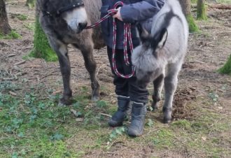 Le p&rsquo;tit coin de Ca&rsquo;Ré