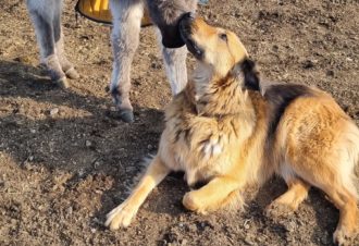 Le p&rsquo;tit coin de Ca&rsquo;Ré