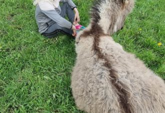 Le p&rsquo;tit coin de Ca&rsquo;Ré