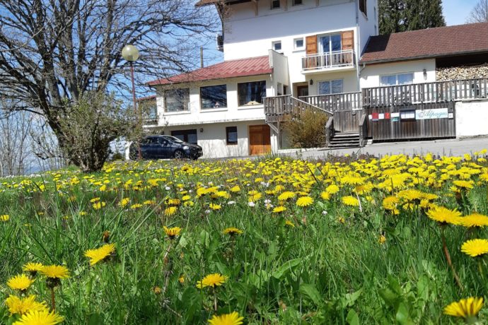 Les Alpages au printemps