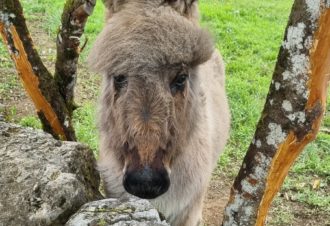 Le p&rsquo;tit coin de Ca&rsquo;Ré