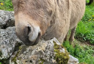 Le p&rsquo;tit coin de Ca&rsquo;Ré