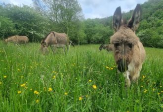 Le p&rsquo;tit coin de Ca&rsquo;Ré