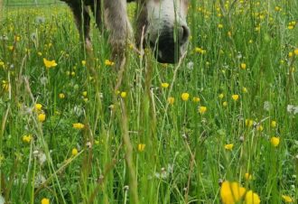 Le p&rsquo;tit coin de Ca&rsquo;Ré