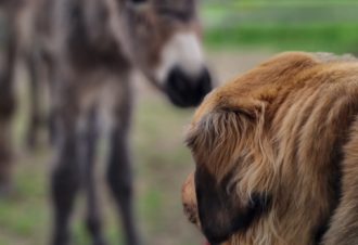 Le p&rsquo;tit coin de Ca&rsquo;Ré