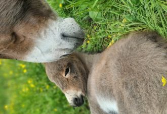 Le p&rsquo;tit coin de Ca&rsquo;Ré