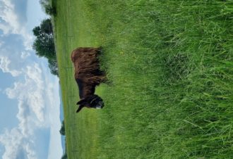 Le p&rsquo;tit coin de Ca&rsquo;Ré